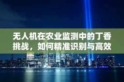 无人机在农业监测中的丁香挑战，如何精准识别与高效作业？