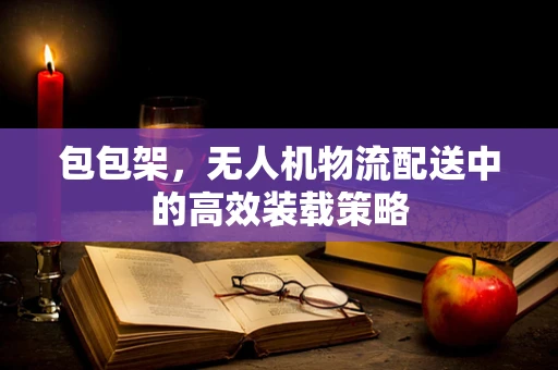 包包架，无人机物流配送中的高效装载策略