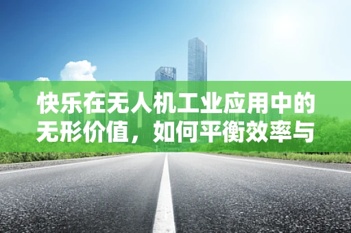 快乐在无人机工业应用中的无形价值，如何平衡效率与员工幸福感？
