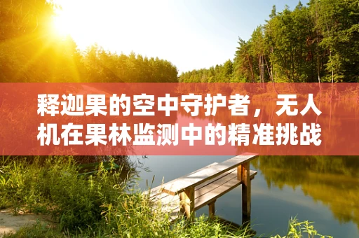 释迦果的空中守护者，无人机在果林监测中的精准挑战