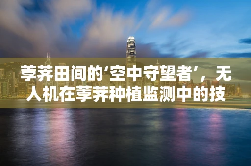 荸荠田间的‘空中守望者’，无人机在荸荠种植监测中的技术挑战