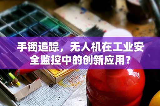 手镯追踪，无人机在工业安全监控中的创新应用？