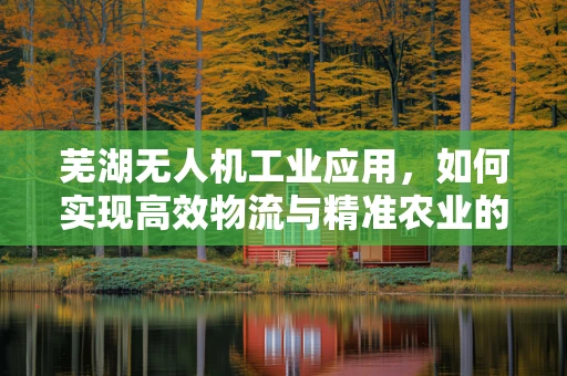 芜湖无人机工业应用，如何实现高效物流与精准农业的完美融合？