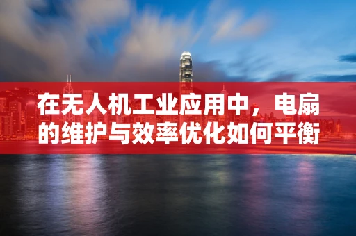 在无人机工业应用中，电扇的维护与效率优化如何平衡？
