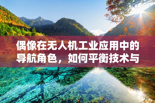 偶像在无人机工业应用中的导航角色，如何平衡技术与人文？