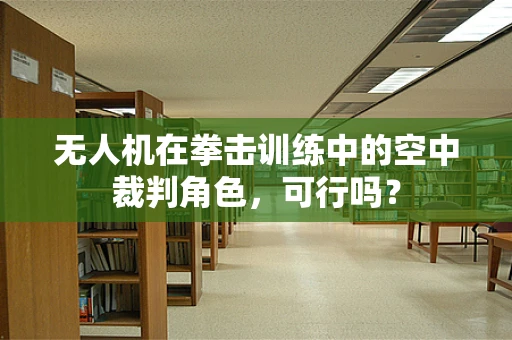 无人机在拳击训练中的空中裁判角色，可行吗？
