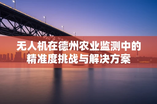 无人机在德州农业监测中的精准度挑战与解决方案