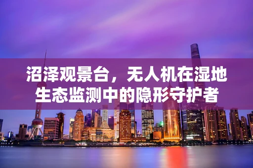 沼泽观景台，无人机在湿地生态监测中的隐形守护者