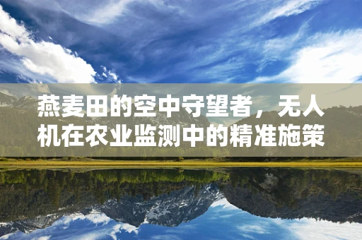 燕麦田的空中守望者，无人机在农业监测中的精准施策