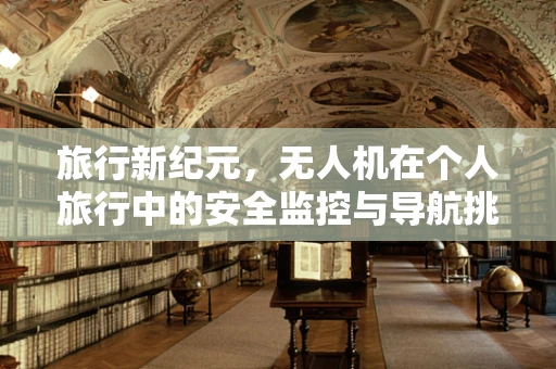 旅行新纪元，无人机在个人旅行中的安全监控与导航挑战
