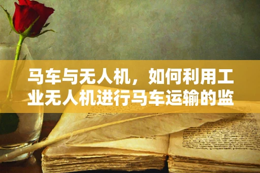 马车与无人机，如何利用工业无人机进行马车运输的监控与安全保障？