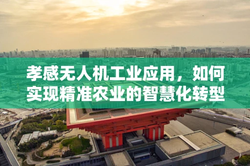 孝感无人机工业应用，如何实现精准农业的智慧化转型？
