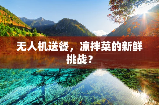 无人机送餐，凉拌菜的新鲜挑战？