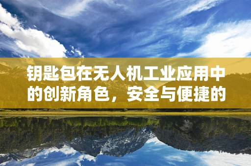 钥匙包在无人机工业应用中的创新角色，安全与便捷的双重挑战
