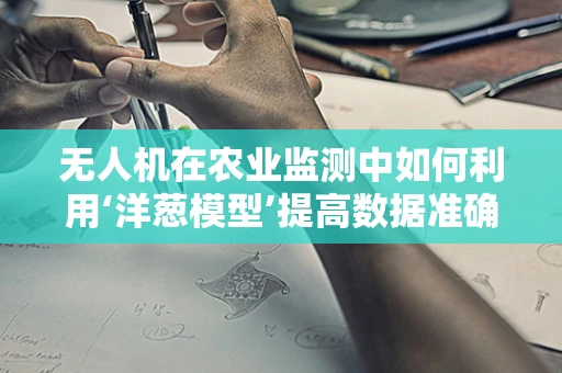 无人机在农业监测中如何利用‘洋葱模型’提高数据准确性？