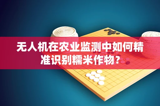 无人机在农业监测中如何精准识别糯米作物？
