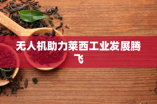 无人机助力莱西工业发展腾飞