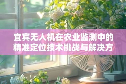 宜宾无人机在农业监测中的精准定位技术挑战与解决方案