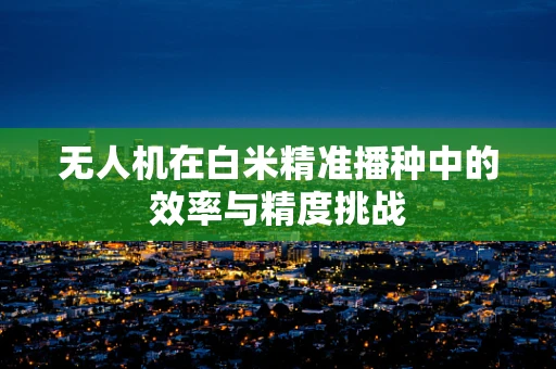 无人机在白米精准播种中的效率与精度挑战
