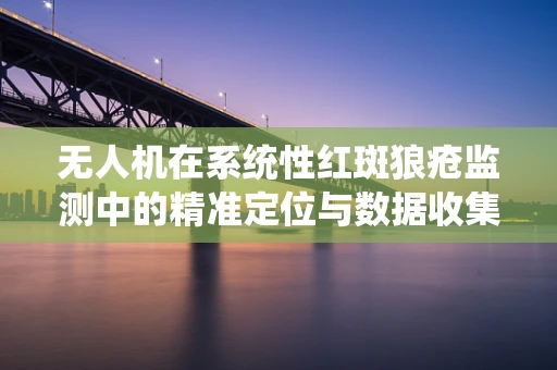 无人机在系统性红斑狼疮监测中的精准定位与数据收集，挑战与机遇？