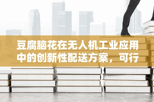 豆腐脑花在无人机工业应用中的创新性配送方案，可行吗？
