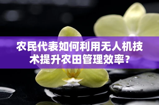 农民代表如何利用无人机技术提升农田管理效率？