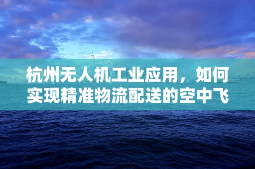 杭州无人机工业应用，如何实现精准物流配送的空中飞跃？