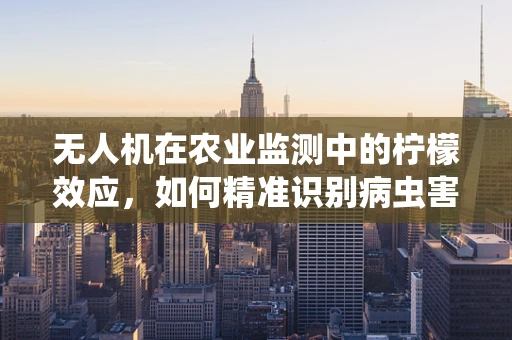 无人机在农业监测中的柠檬效应，如何精准识别病虫害？