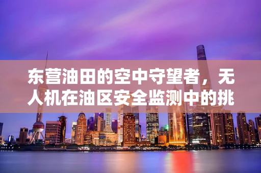 东营油田的空中守望者，无人机在油区安全监测中的挑战与对策