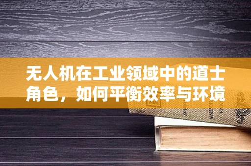 无人机在工业领域中的道士角色，如何平衡效率与环境保护？