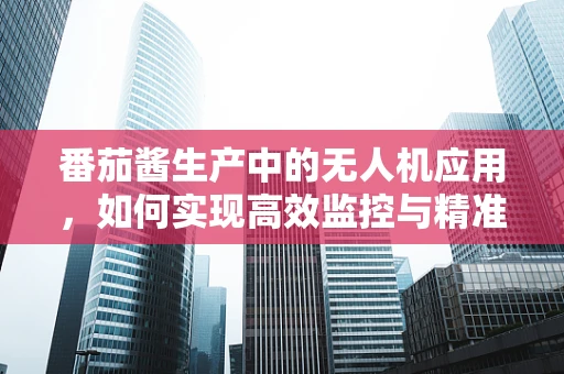 番茄酱生产中的无人机应用，如何实现高效监控与精准喷洒？