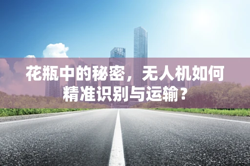 花瓶中的秘密，无人机如何精准识别与运输？