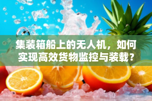集装箱船上的无人机，如何实现高效货物监控与装载？