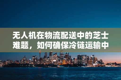无人机在物流配送中的芝士难题，如何确保冷链运输中的食品安全？
