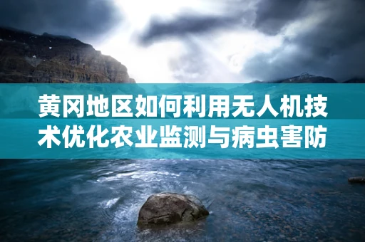黄冈地区如何利用无人机技术优化农业监测与病虫害防治？