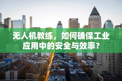 无人机教练，如何确保工业应用中的安全与效率？