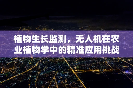 植物生长监测，无人机在农业植物学中的精准应用挑战