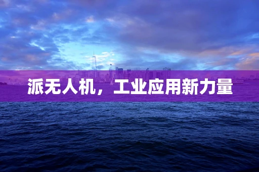 派无人机，工业应用新力量
