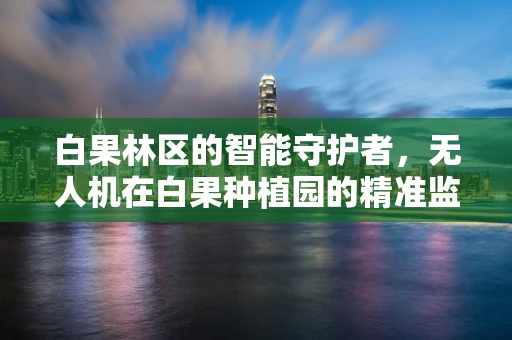 白果林区的智能守护者，无人机在白果种植园的精准监测应用