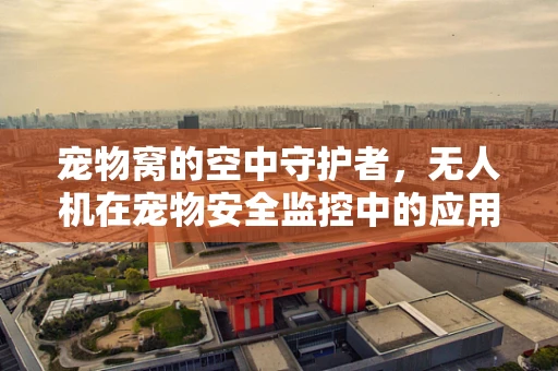 宠物窝的空中守护者，无人机在宠物安全监控中的应用挑战