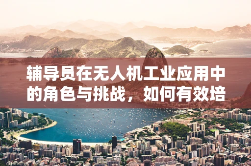 辅导员在无人机工业应用中的角色与挑战，如何有效培训与指导？