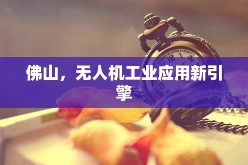 佛山，无人机工业应用新引擎