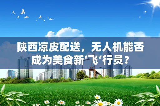 陕西凉皮配送，无人机能否成为美食新‘飞’行员？