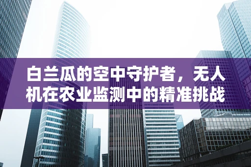 白兰瓜的空中守护者，无人机在农业监测中的精准挑战