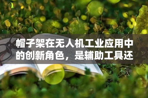 帽子架在无人机工业应用中的创新角色，是辅助工具还是创意障碍？