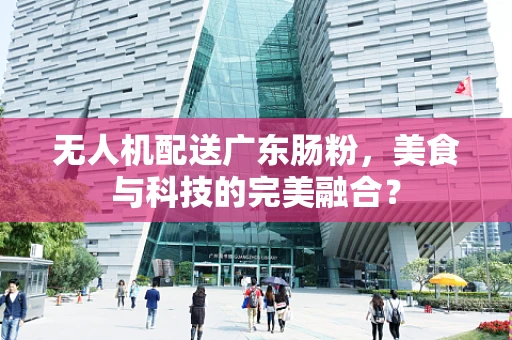 无人机配送广东肠粉，美食与科技的完美融合？