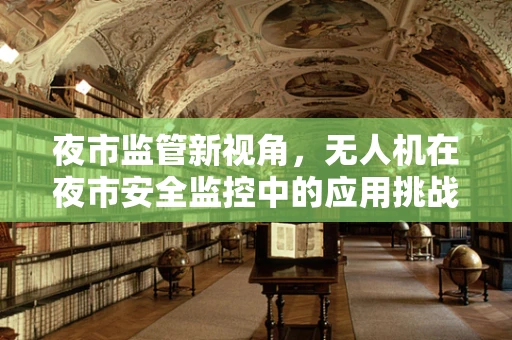 夜市监管新视角，无人机在夜市安全监控中的应用挑战与解决方案