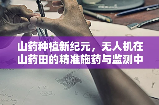 山药种植新纪元，无人机在山药田的精准施药与监测中扮演什么角色？