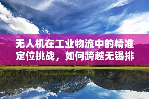 无人机在工业物流中的精准定位挑战，如何跨越无锡排骨的复杂环境？