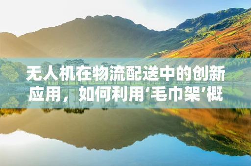 无人机在物流配送中的创新应用，如何利用‘毛巾架’概念优化货物固定？
